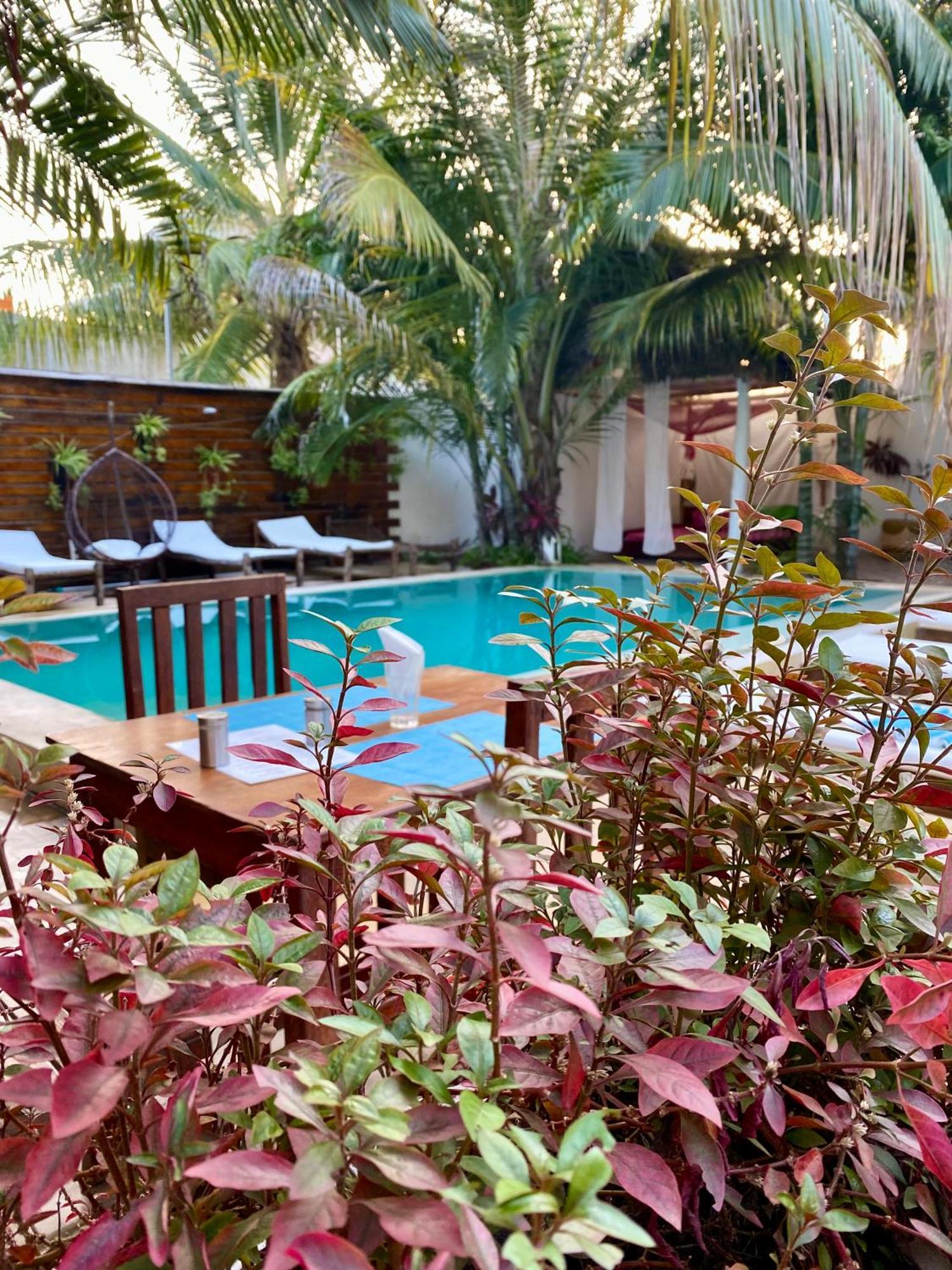 Cezere The Palm Hotel Paje Luaran gambar